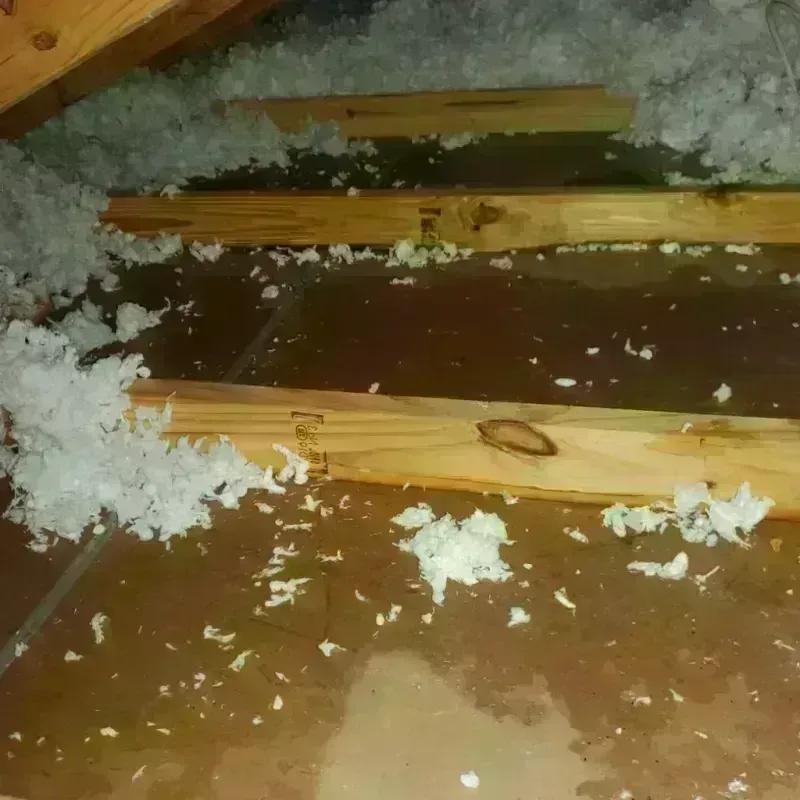 Attic Water Damage in Washington, IL