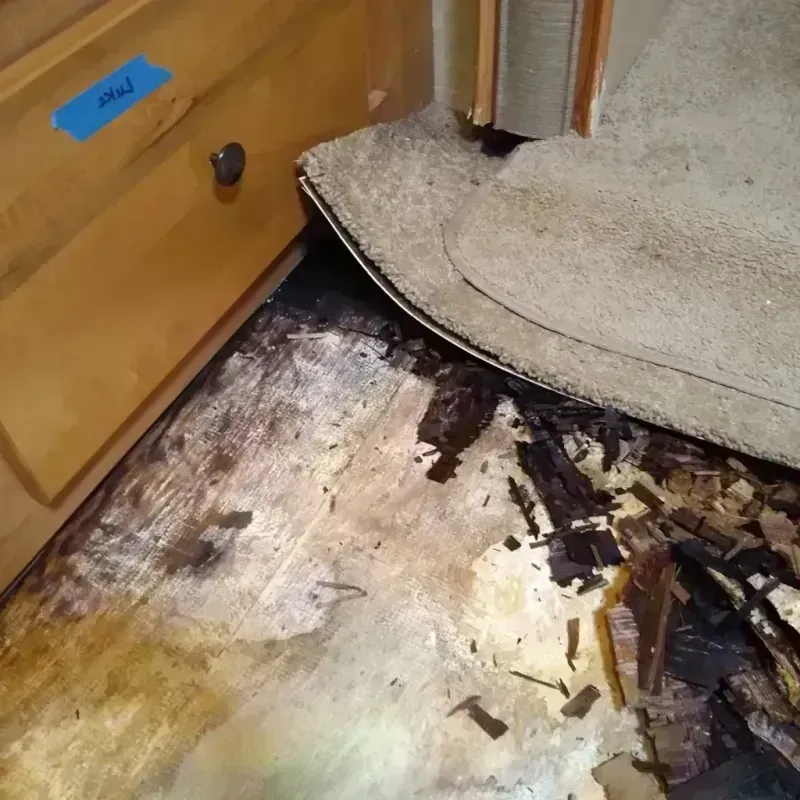 Wood Floor Water Damage in Washington, IL